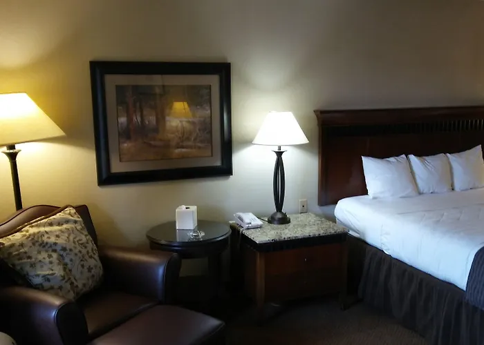 Rodeway Inn San Angelo South